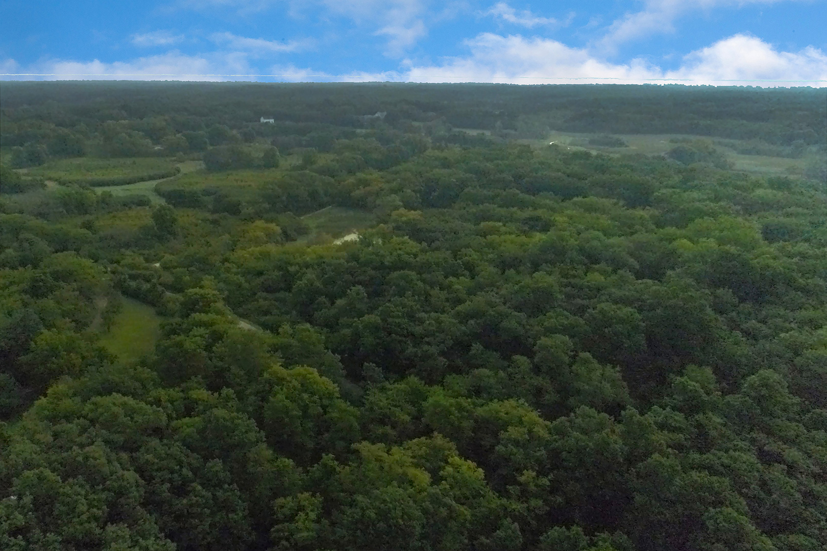 3734 Deerwood Drive Property Photo 4