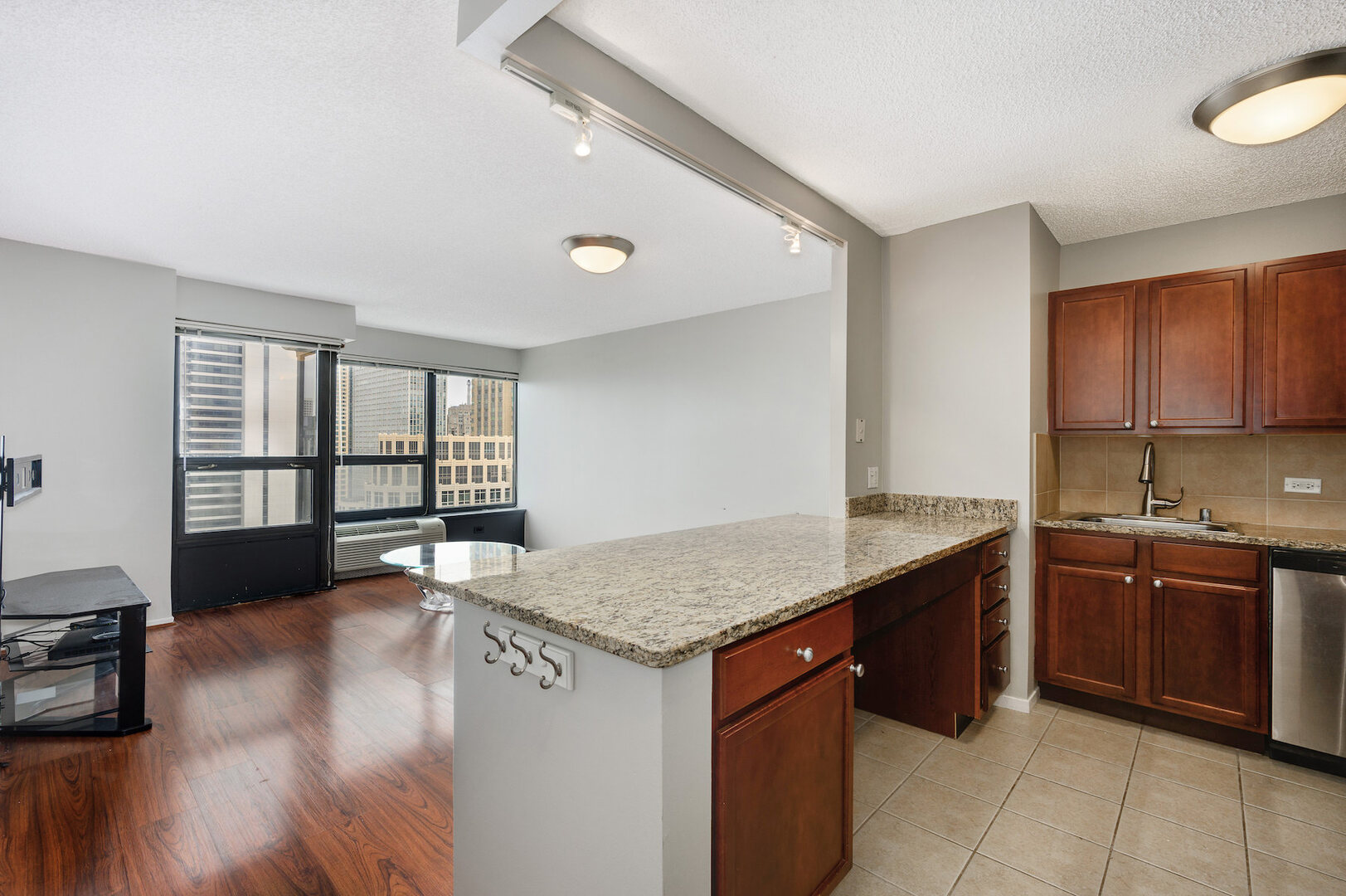 30 E Huron Street 3808 Property Photo 2