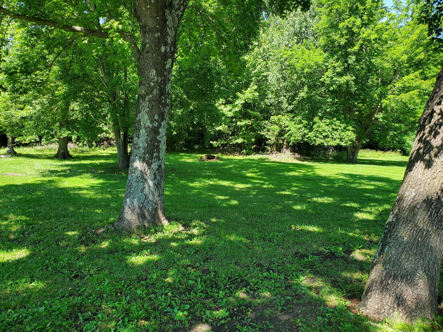 202 Arbor Drive Property Photo 6