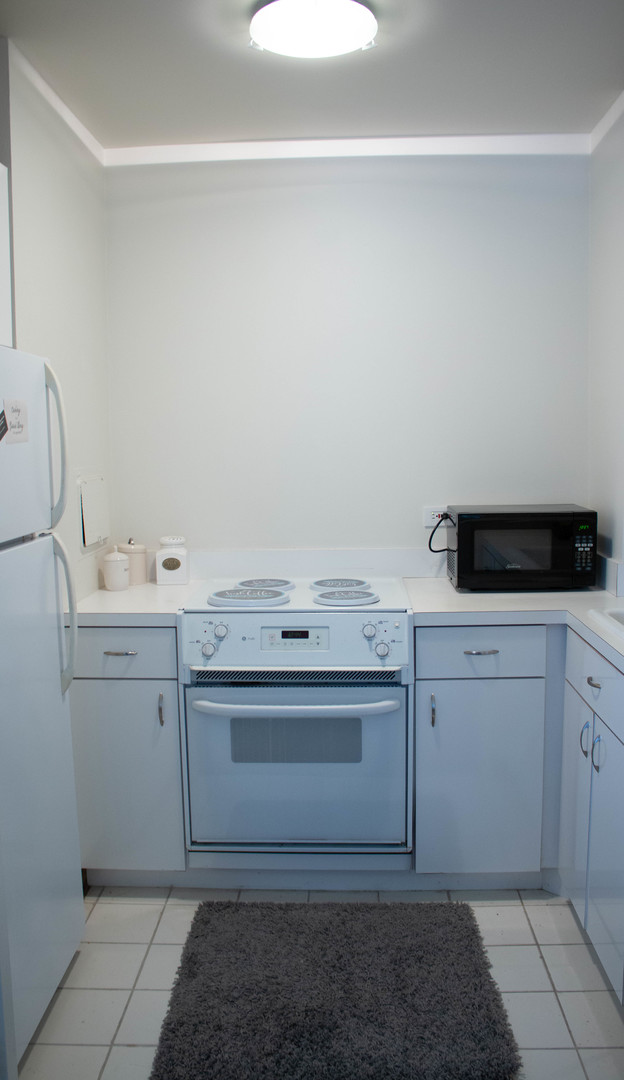 260 E Chestnut Street 409 Property Photo 7