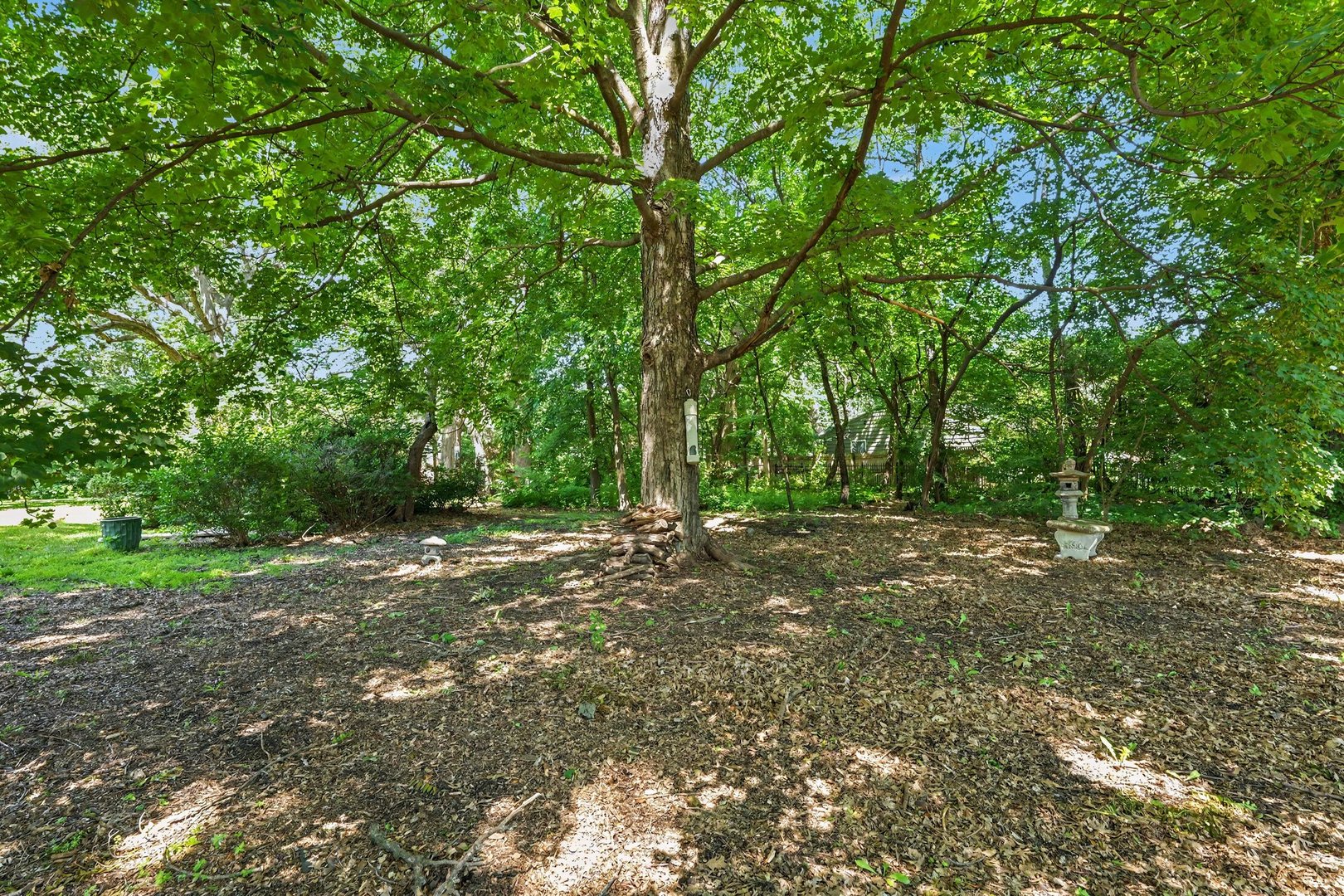 319 Timberline Drive Property Photo 39