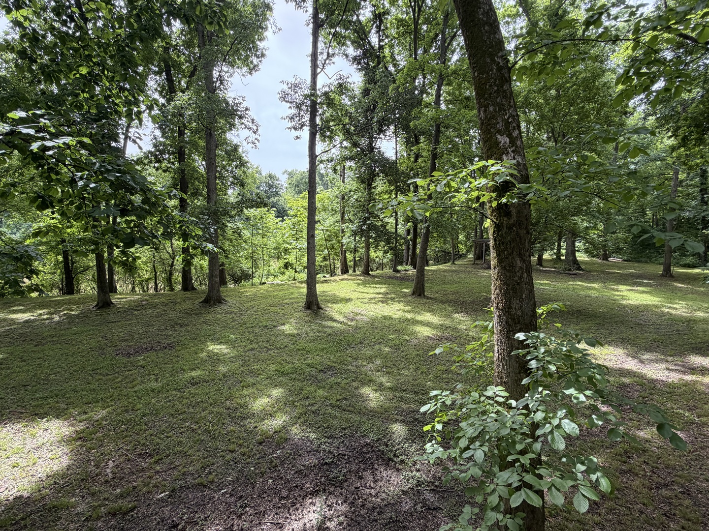 00 Shoemaker Drive Property Photo 4