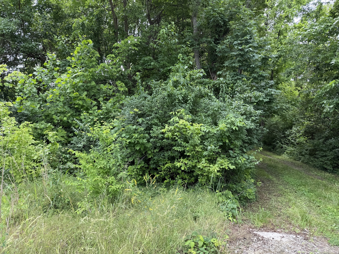 00 Shoemaker Drive Property Photo 30