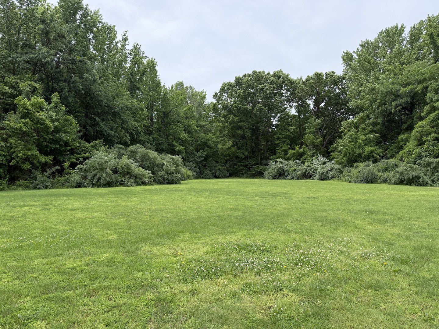 00 Shoemaker Drive Property Photo 31