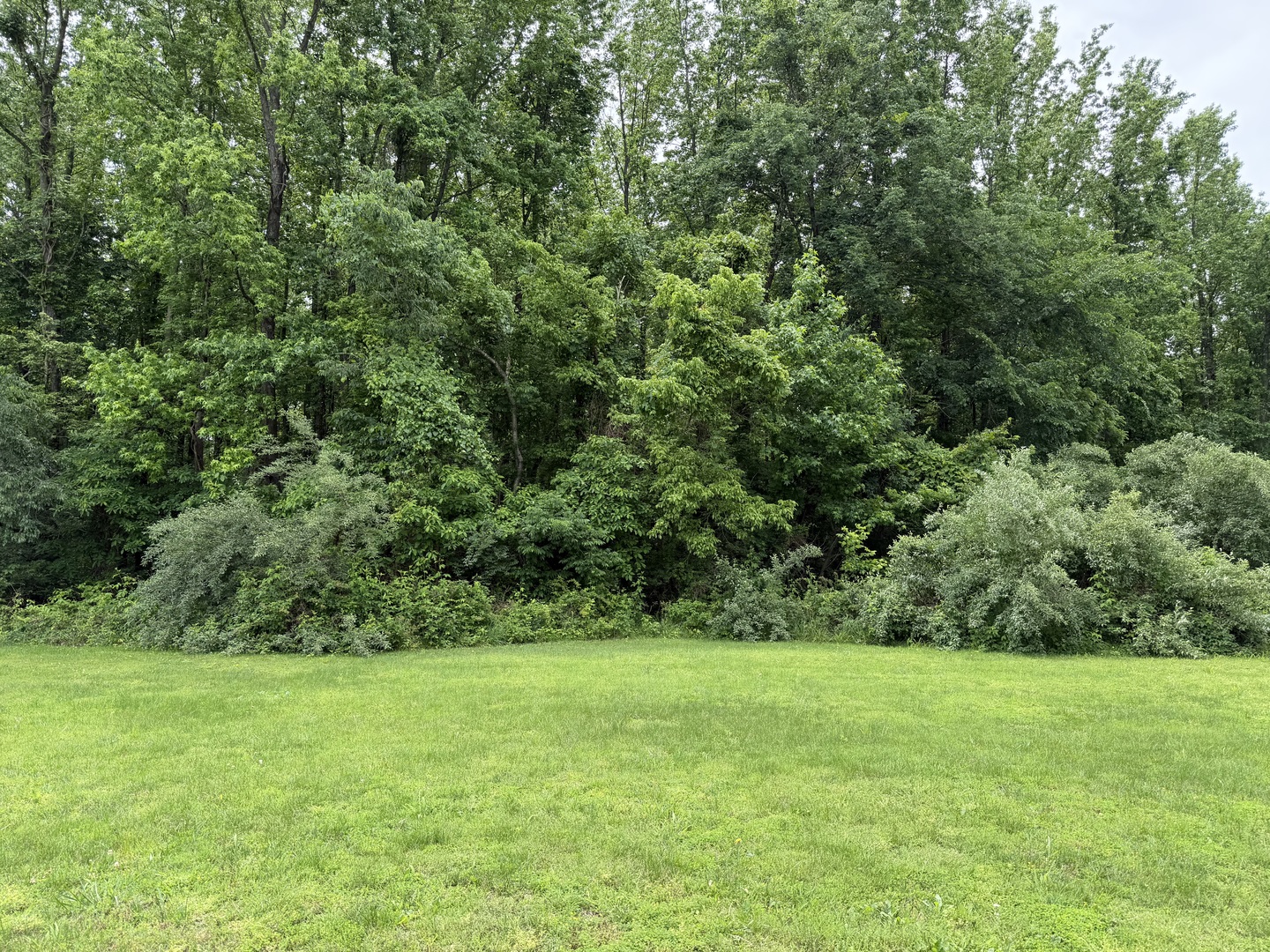 00 Shoemaker Drive Property Photo 32