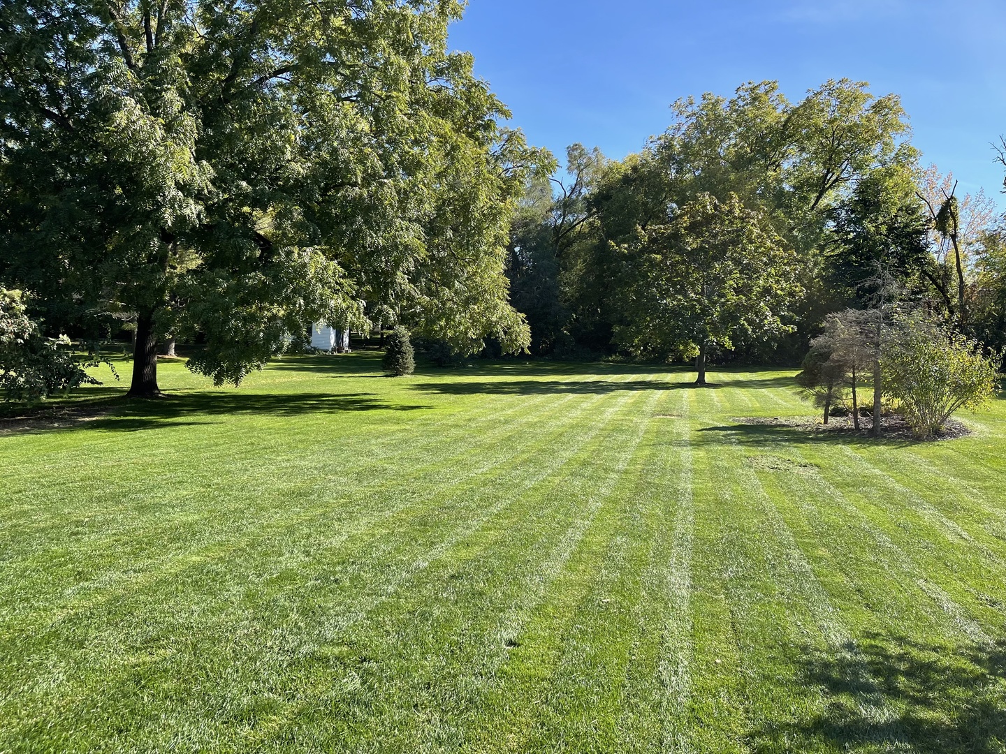 141 Walnut Street Property Photo 4