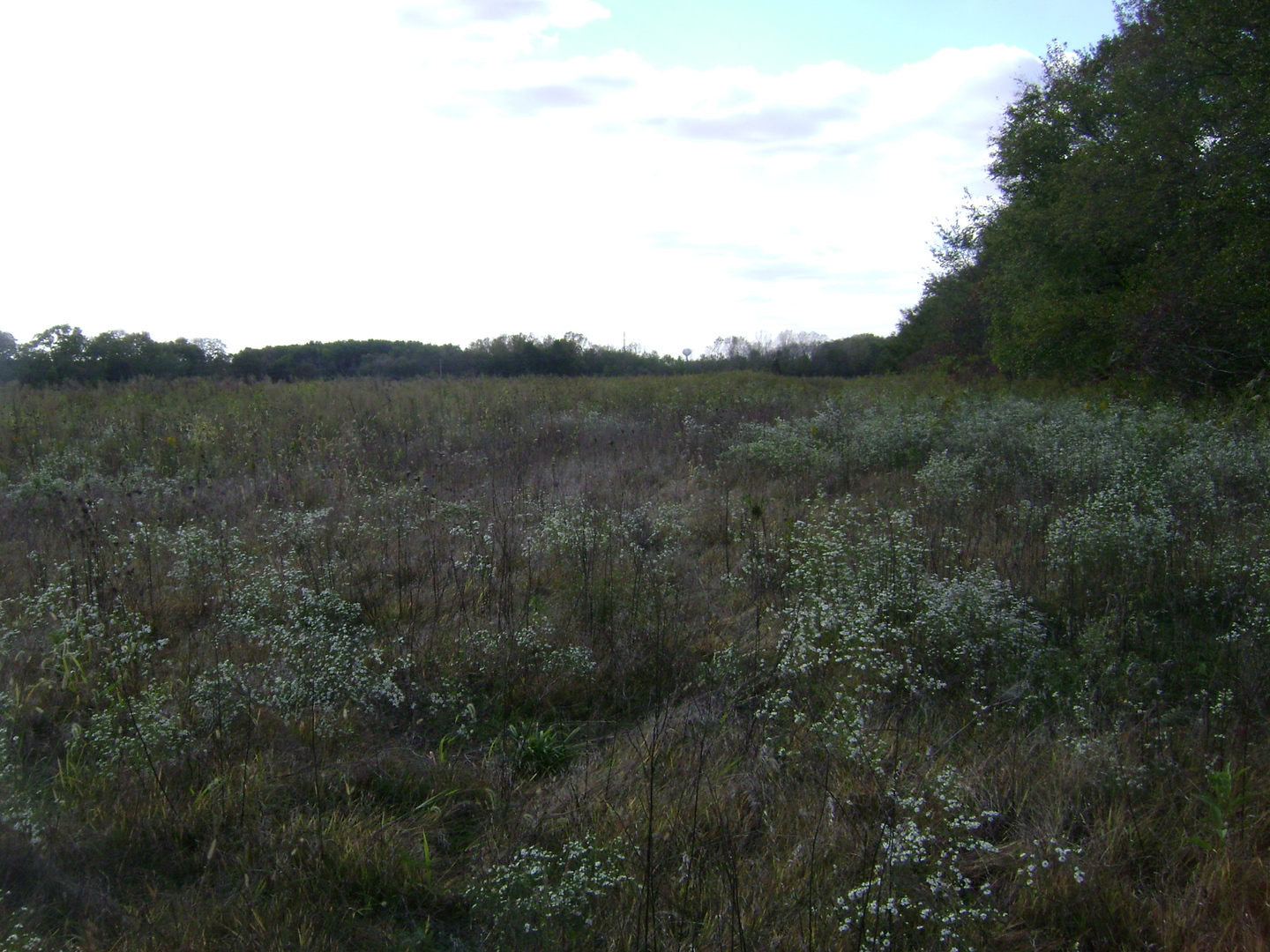 0 N 2753 Road Property Photo 3