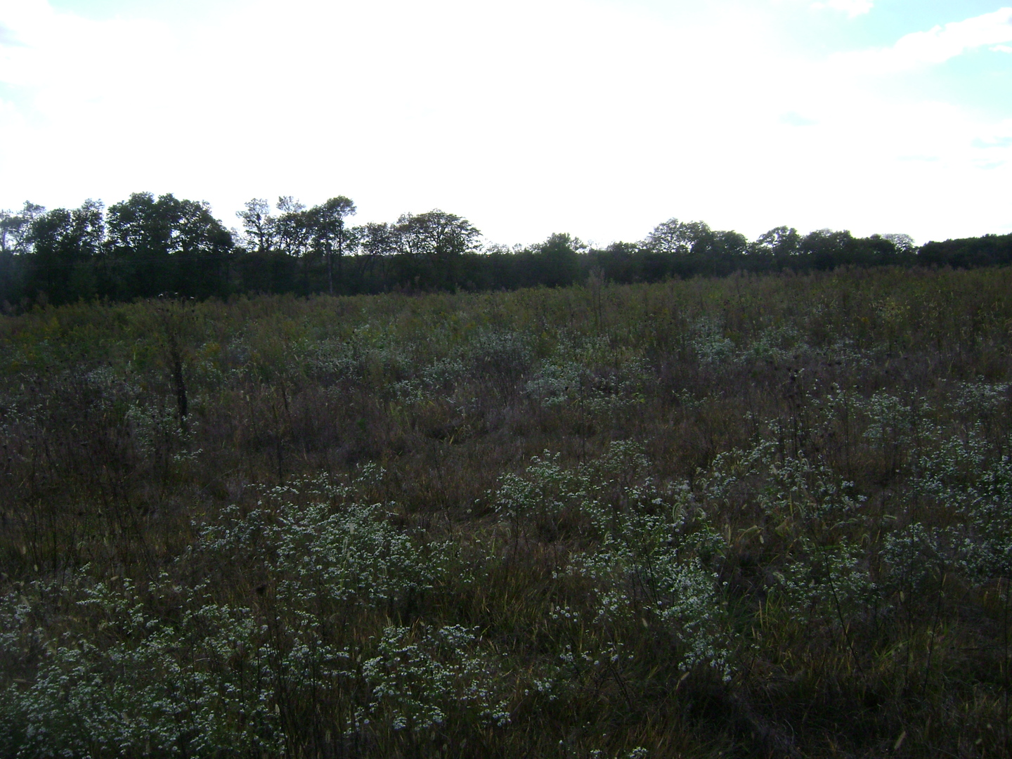 0 N 2753 Road Property Photo 4