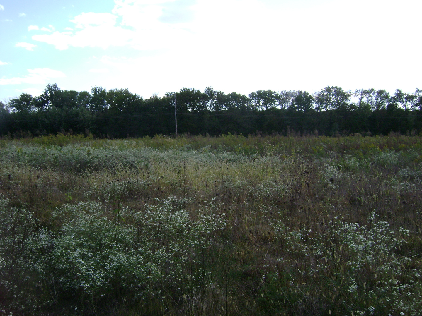0 N 2753 Road Property Photo 5