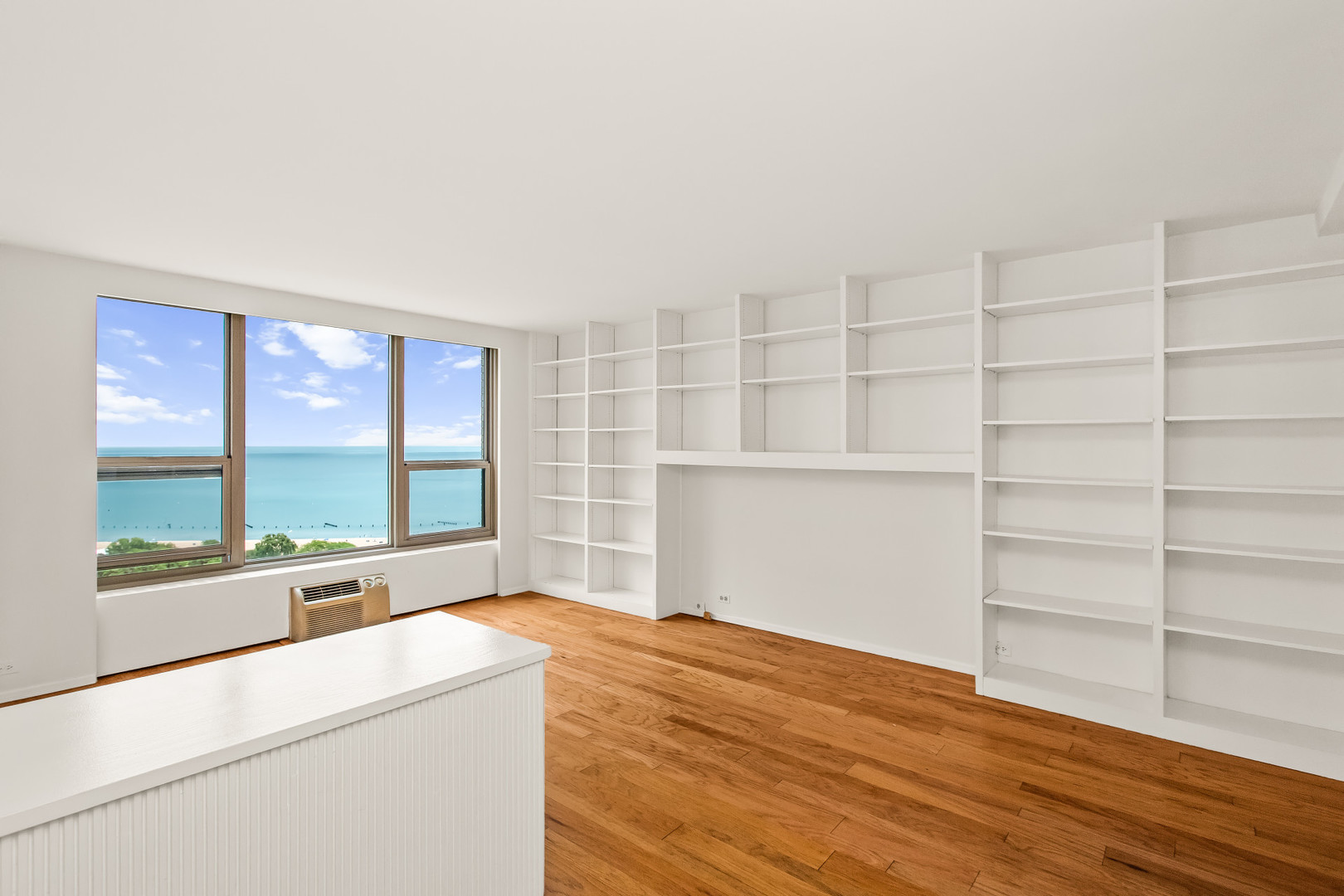 1550 N Lake Shore Drive 20g Property Photo 6