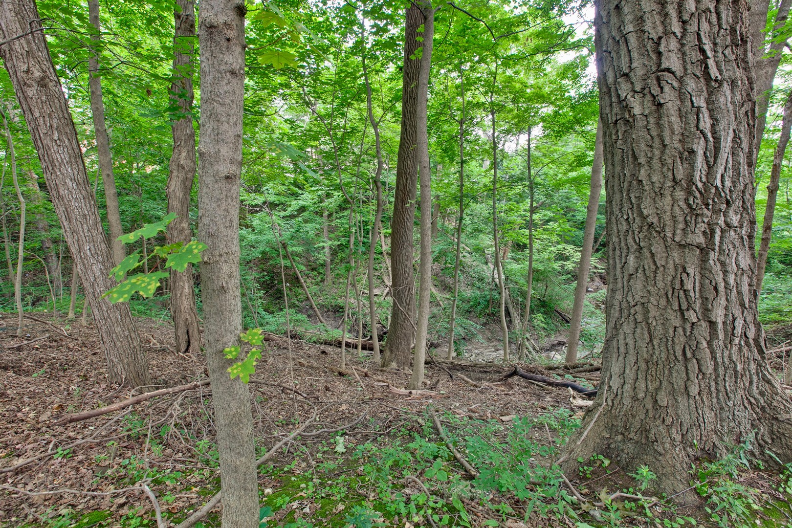 427 N Sheridan Road Property Photo 53