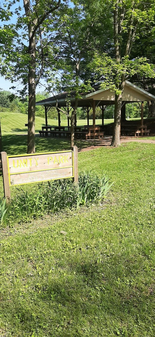 Lot 61 Wisconsin Lane Property Photo 3