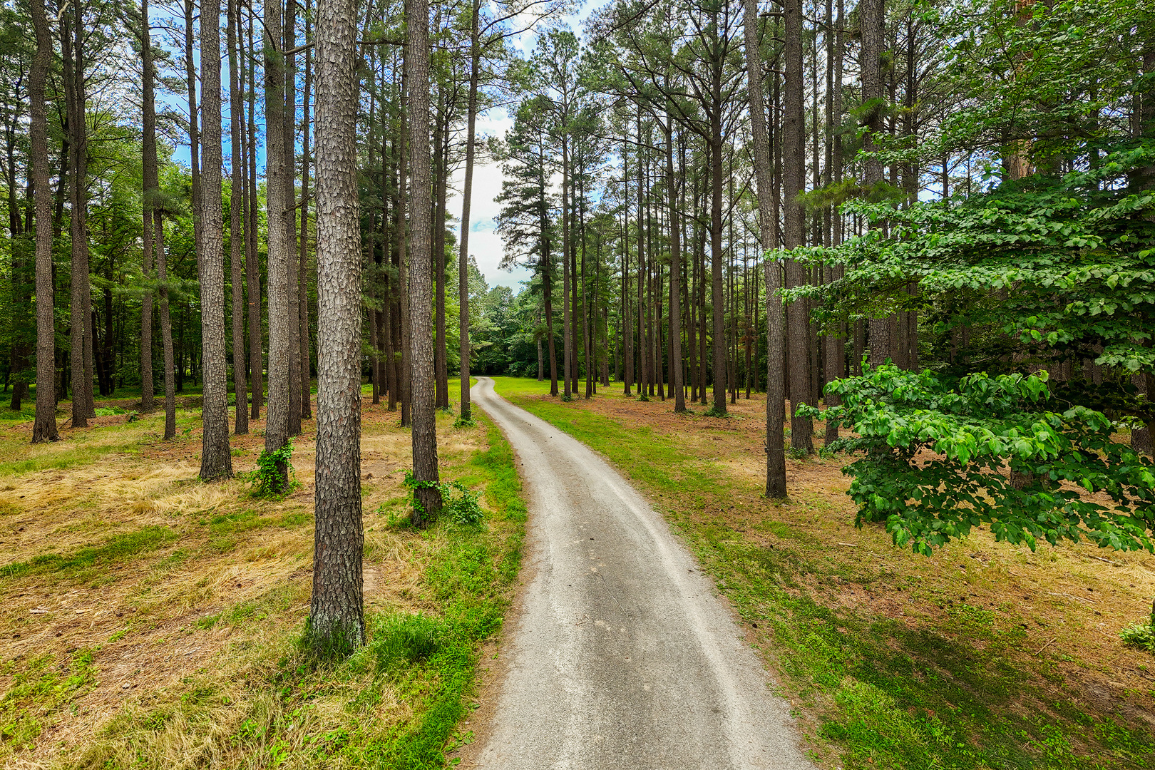 13602 Greenbriar Road Property Photo 4