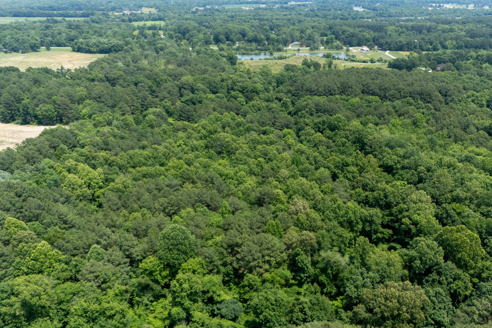 13602 Greenbriar Road Property Photo 63
