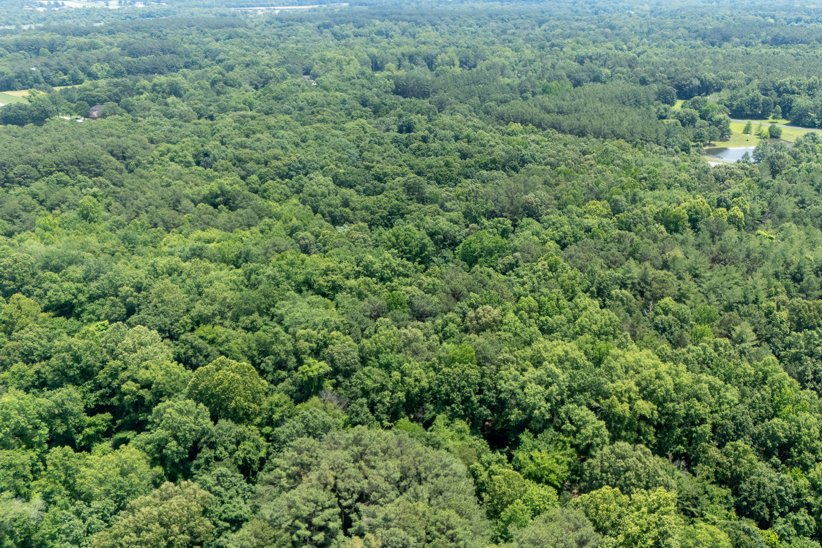 13602 Greenbriar Road Property Photo 64