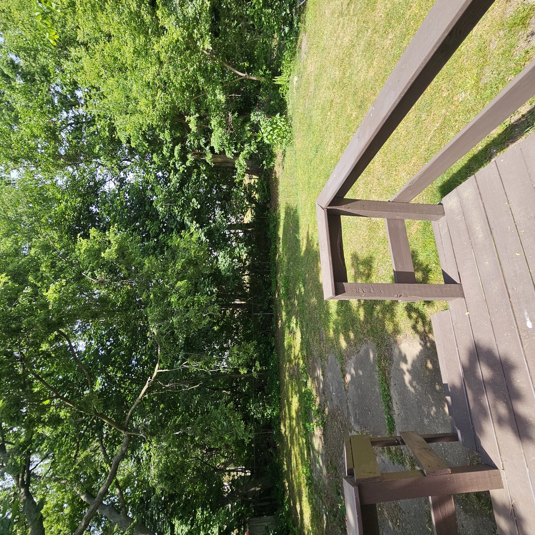 218 Oakwood Avenue Property Photo 23