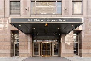 161 E Chicago Avenue 52F Property Photo 1