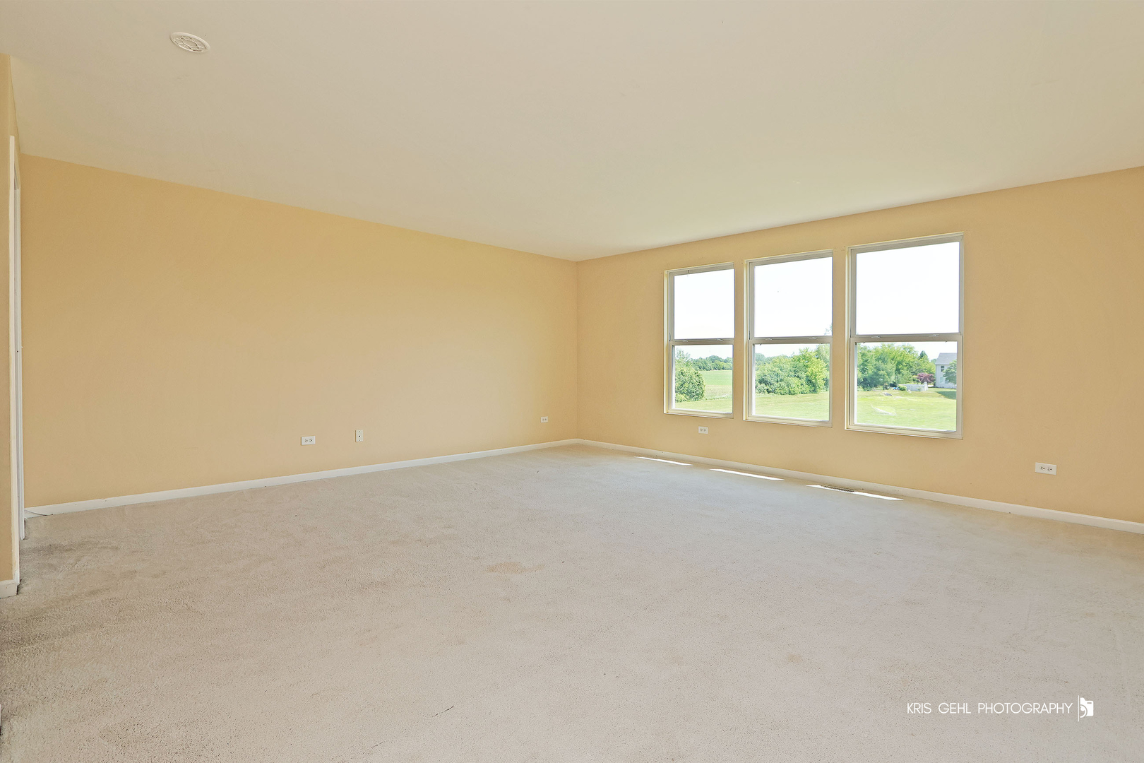 4111 Credence Drive Property Photo 11