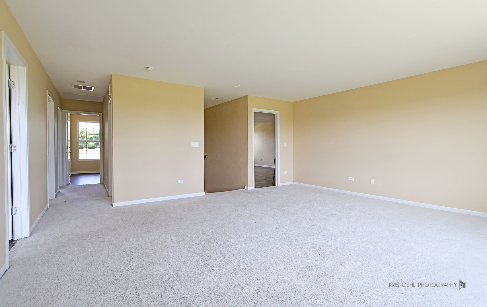 4111 Credence Drive Property Photo 12