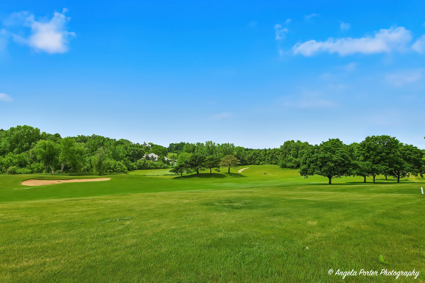 10711 Bull Valley Drive Property Photo 49