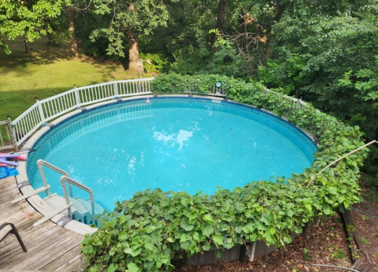 9215 S 83rd Avenue Property Photo 19