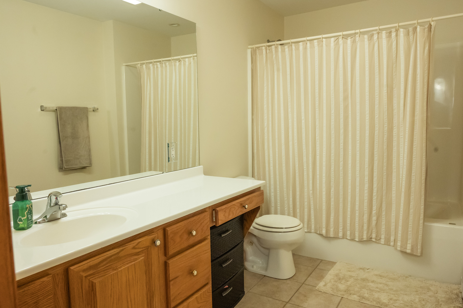10092 Raindance Drive Property Photo 19