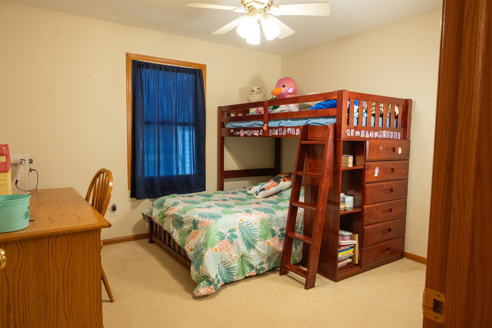 10092 Raindance Drive Property Photo 24