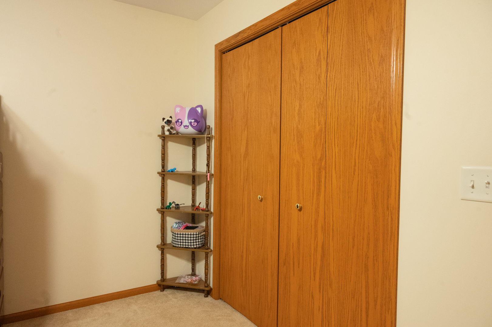 10092 Raindance Drive Property Photo 25