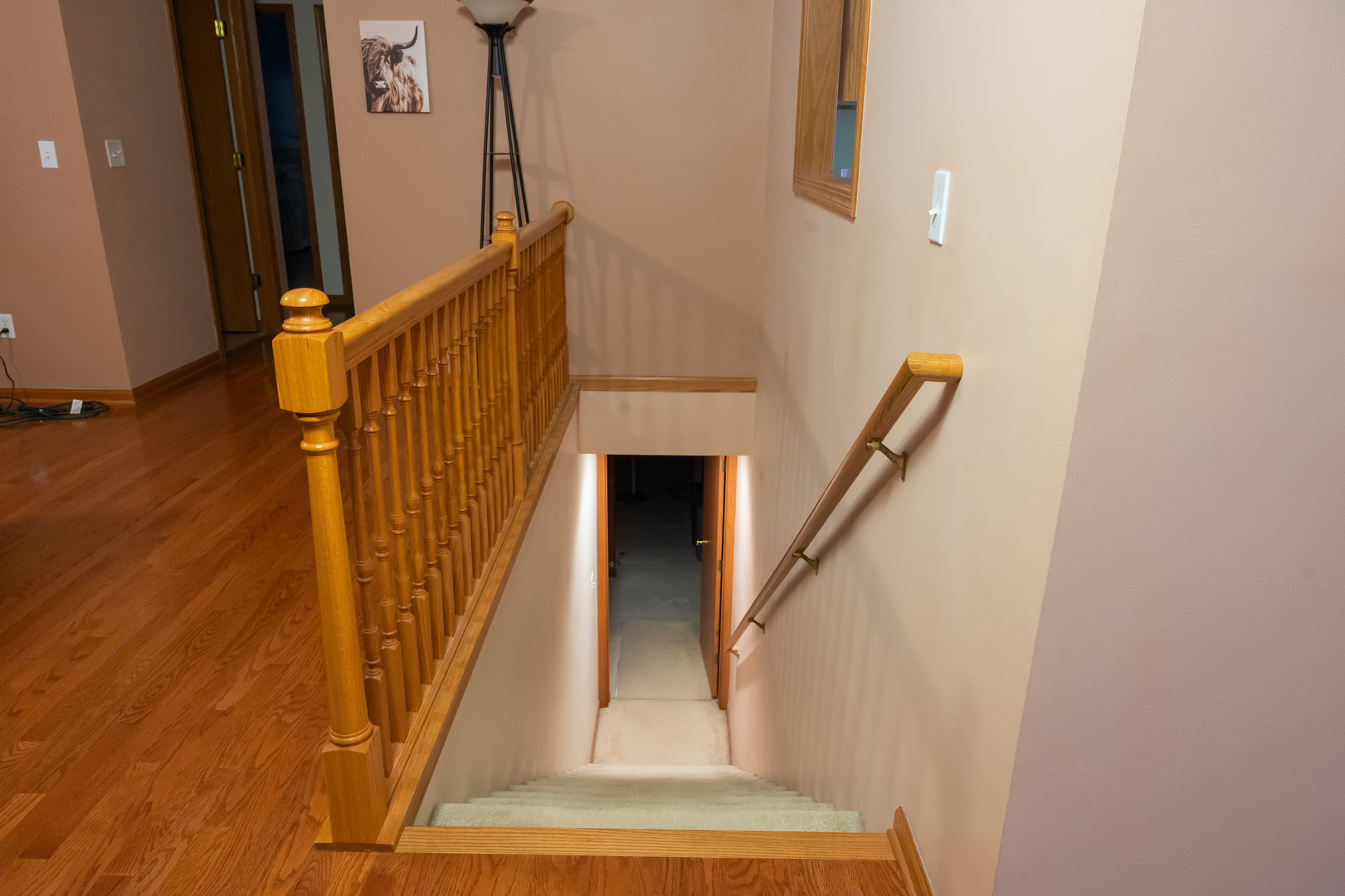 10092 Raindance Drive Property Photo 27