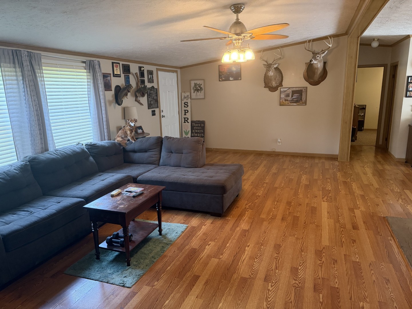 5 Southland Drive Property Photo 4