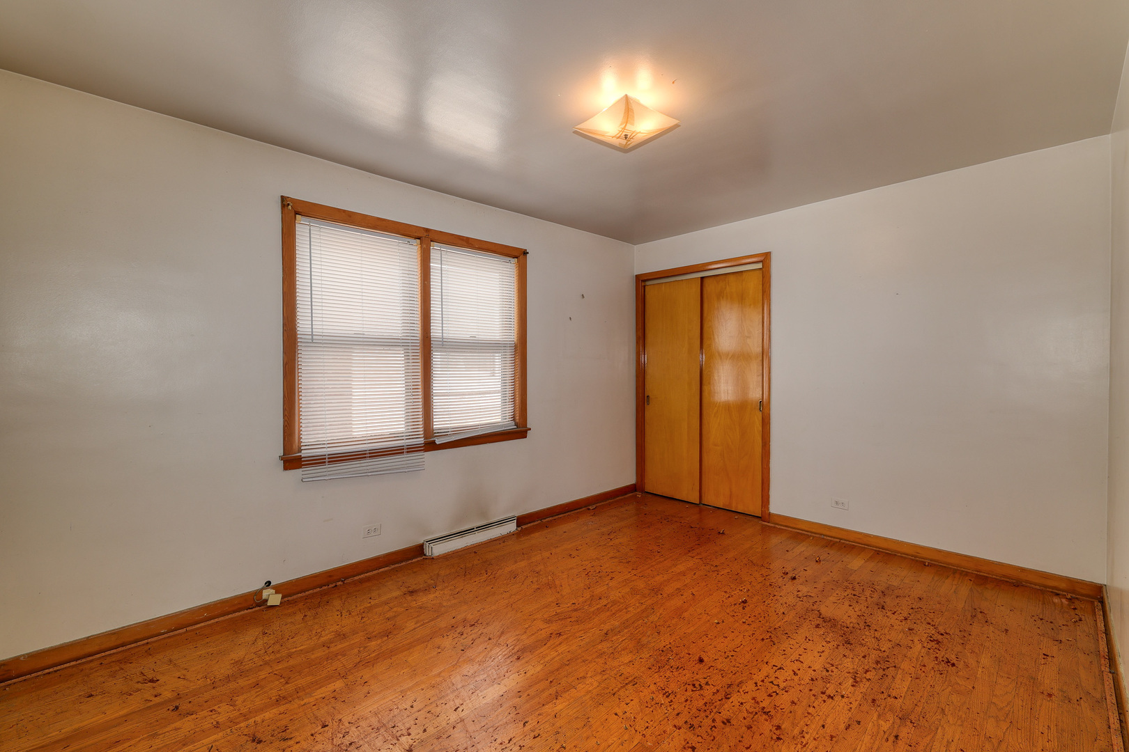 5337 S Springfield Avenue Property Photo 6