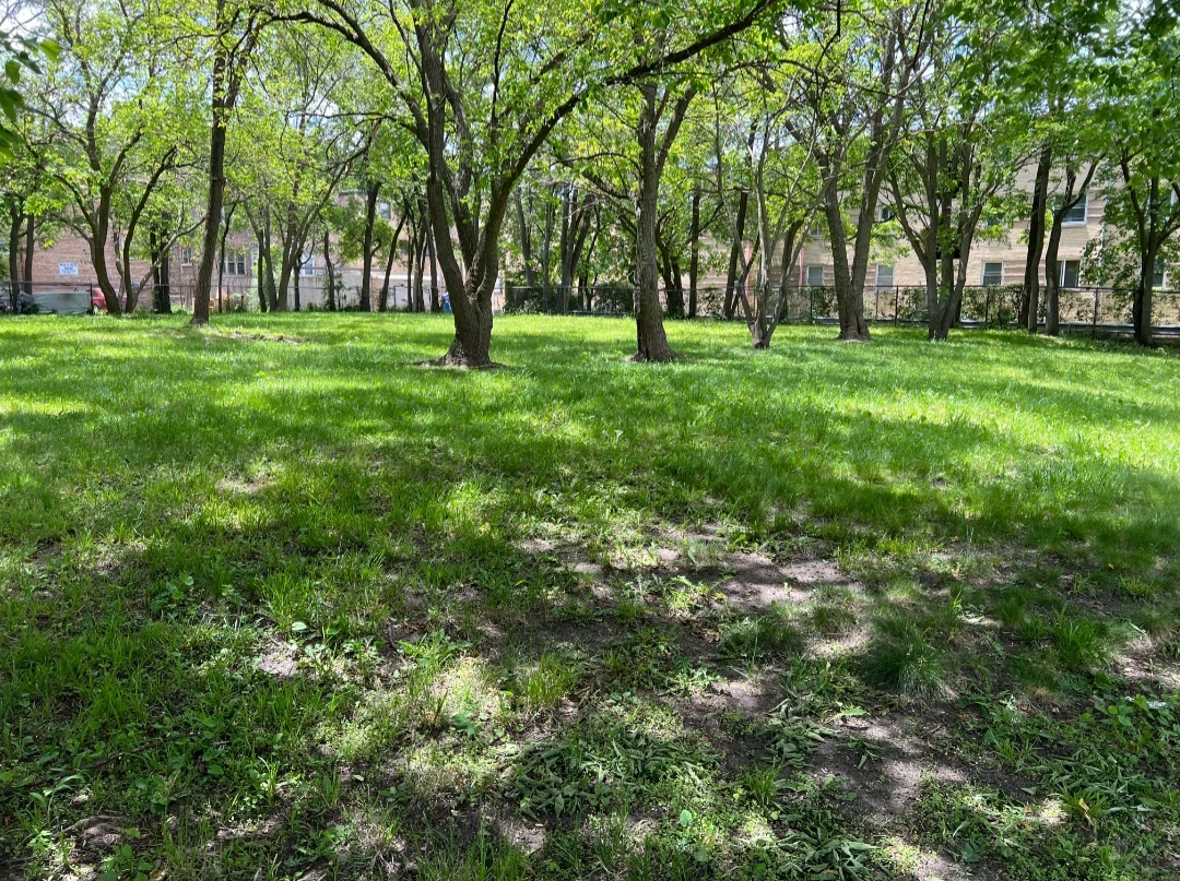 2121 E 72nd Street Property Photo 1