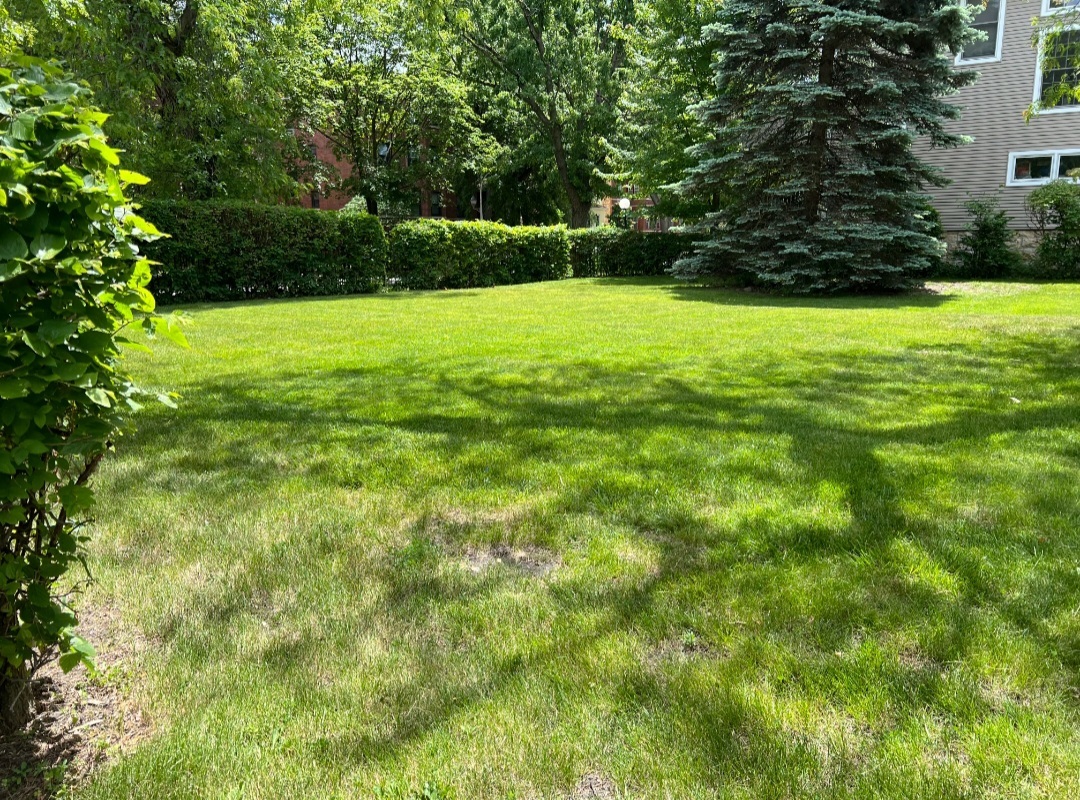 2121 E 72nd Street Property Photo 2