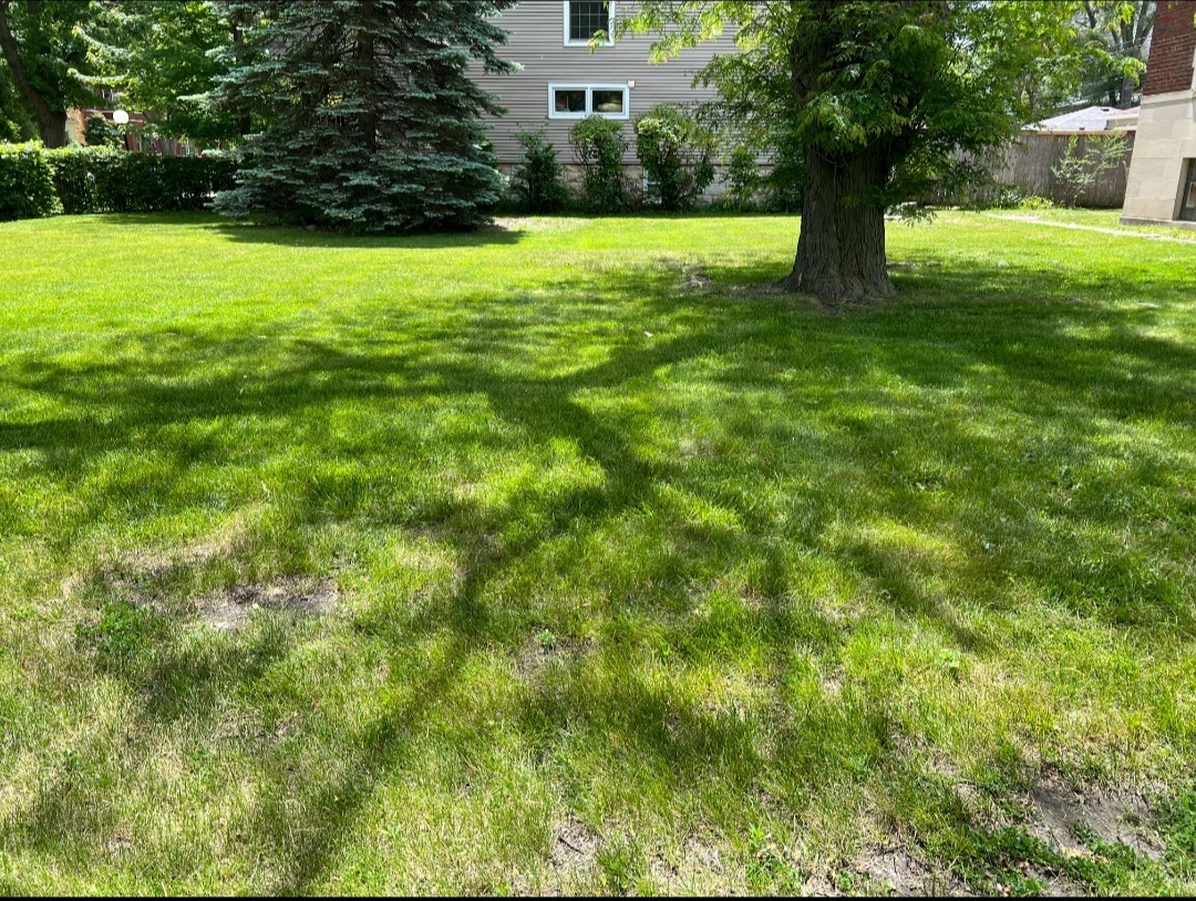 2121 E 72nd Street Property Photo 3