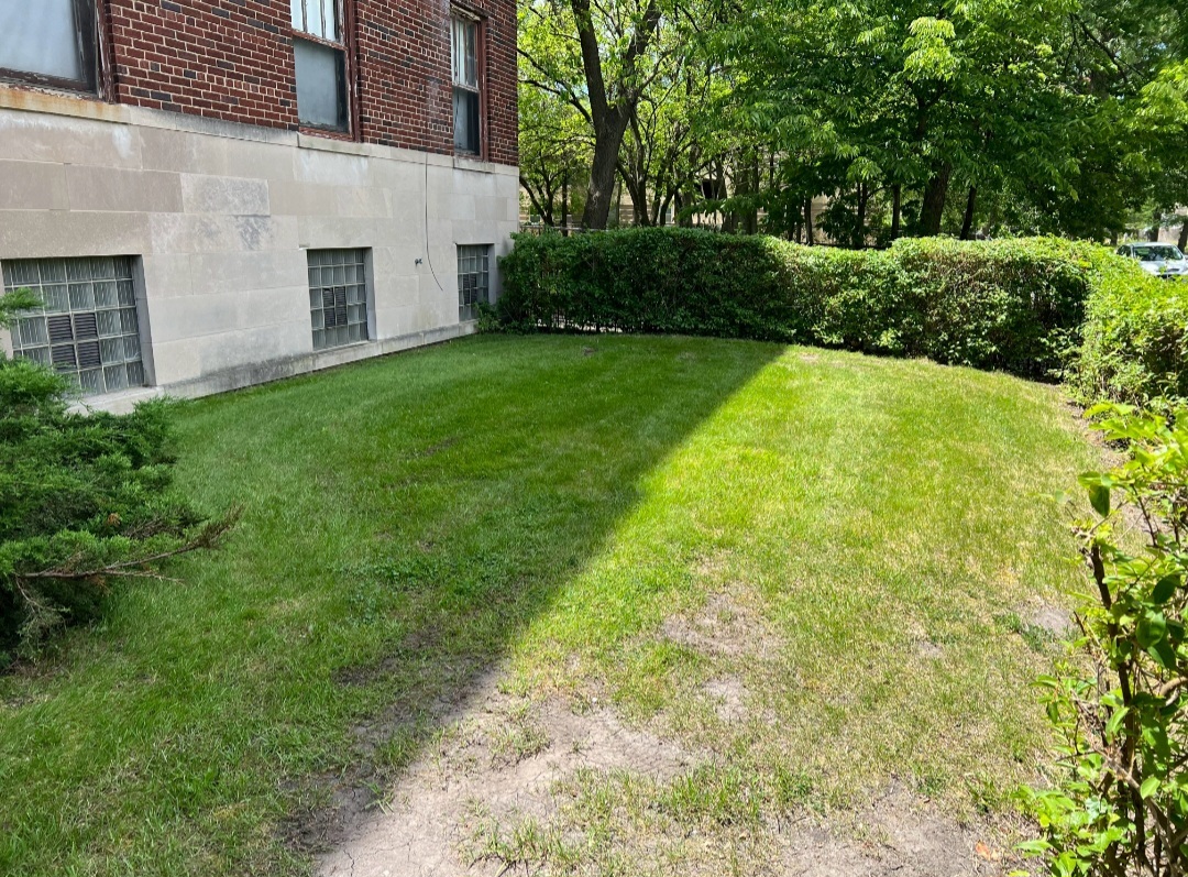 2121 E 72nd Street Property Photo 8