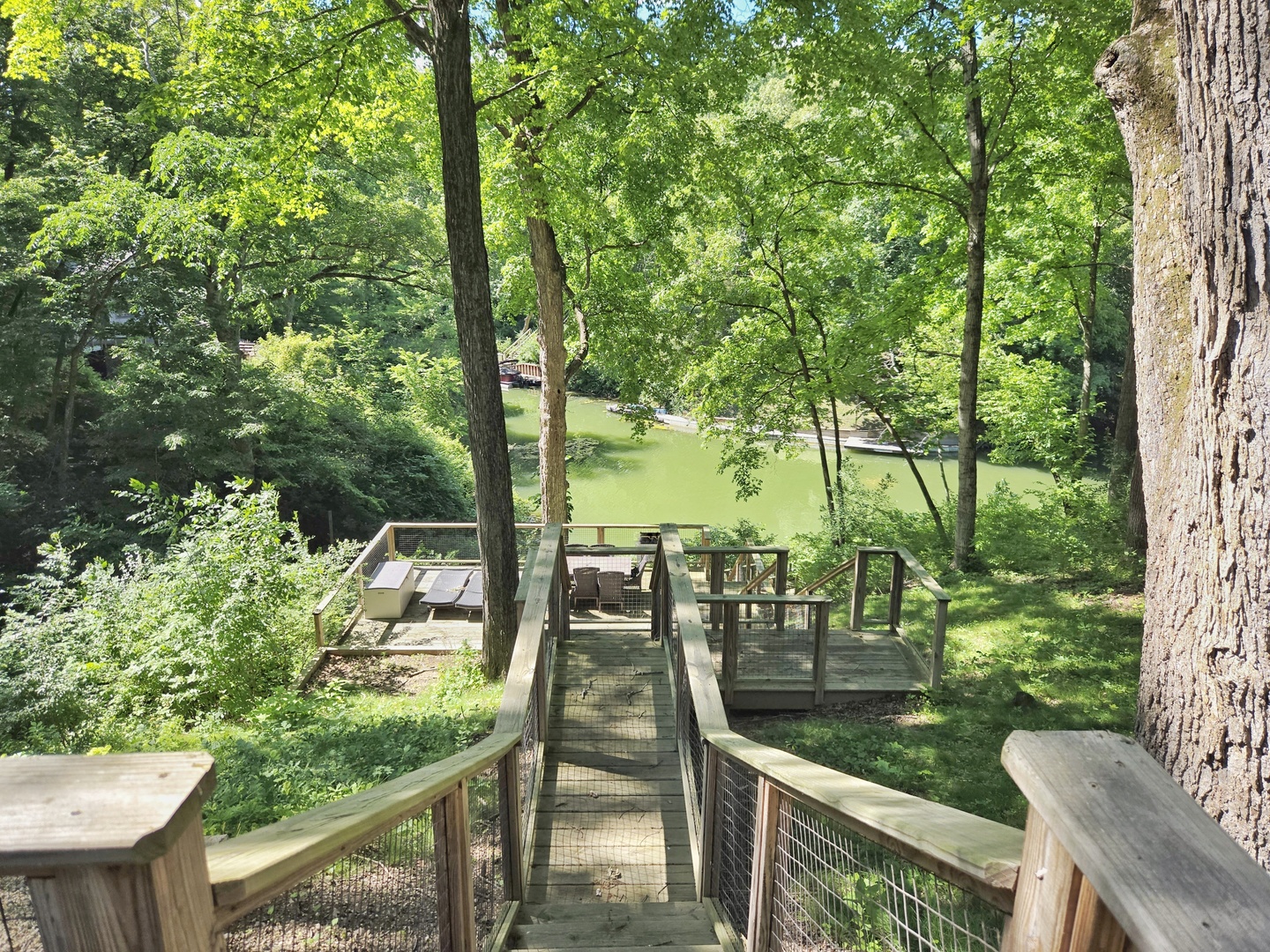 11 Chairtree Court Property Photo 55