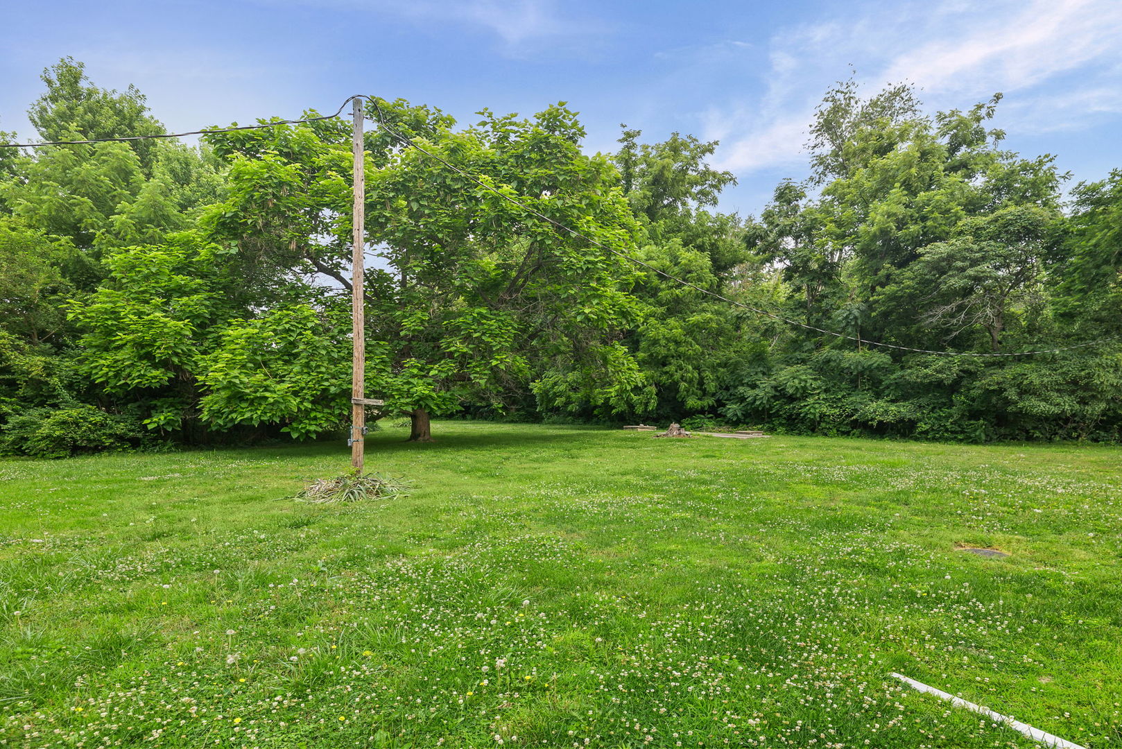 23679 N Carpenter Lane Property Photo 15