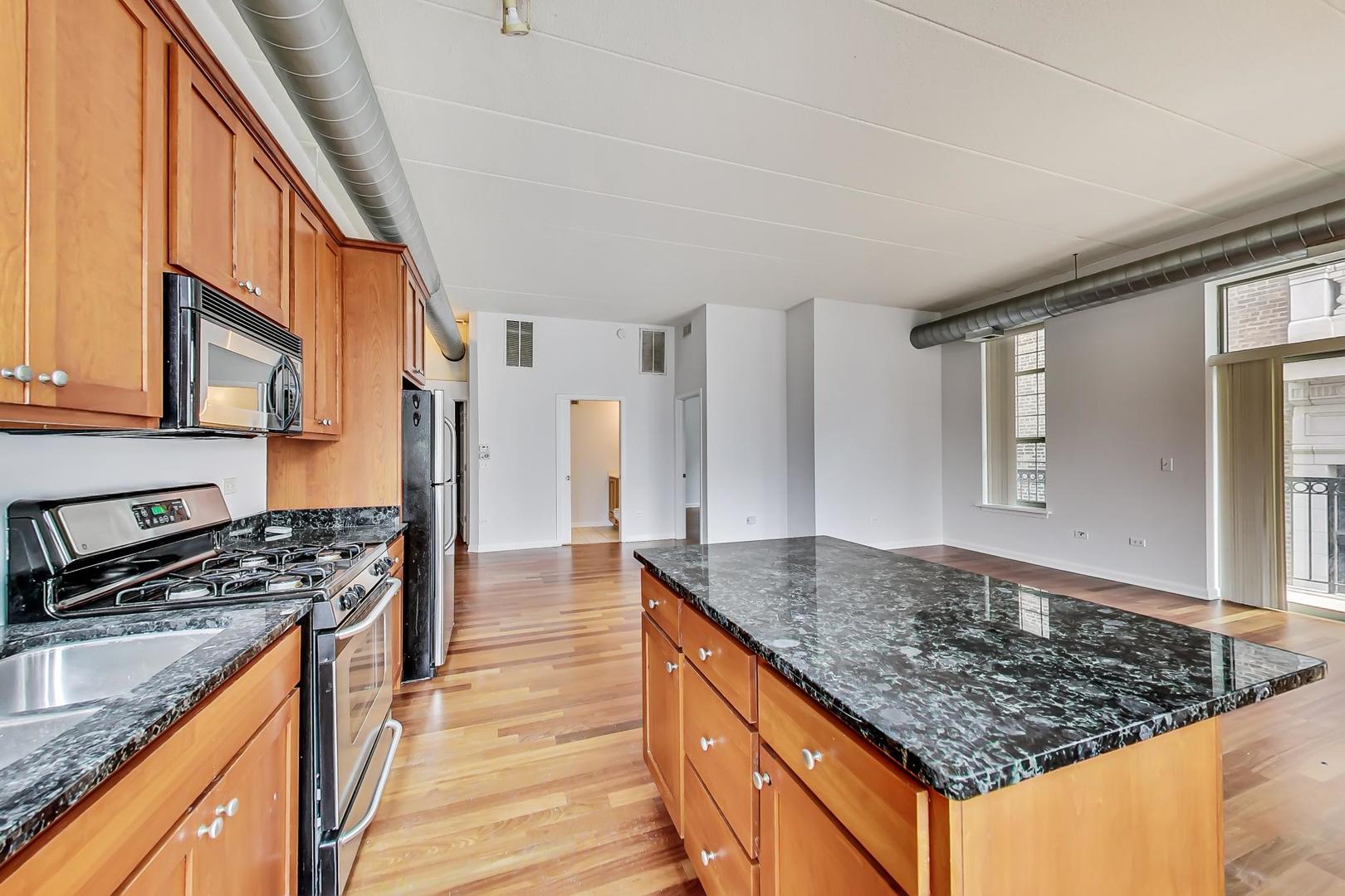 1919 S Michigan Avenue 302 Property Photo 5