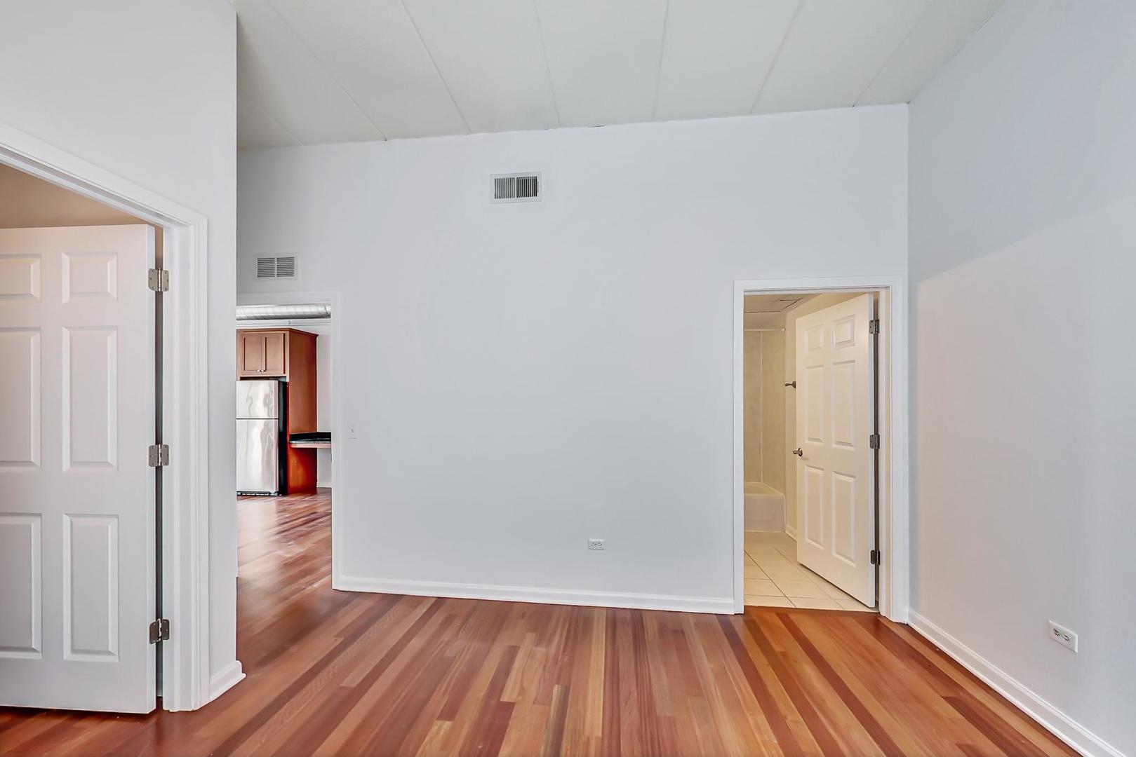 1919 S Michigan Avenue 302 Property Photo 14