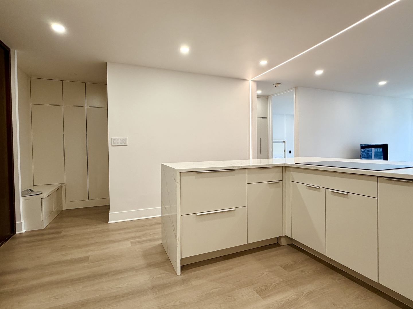 360 E Randolph Street 1606 Property Photo 4
