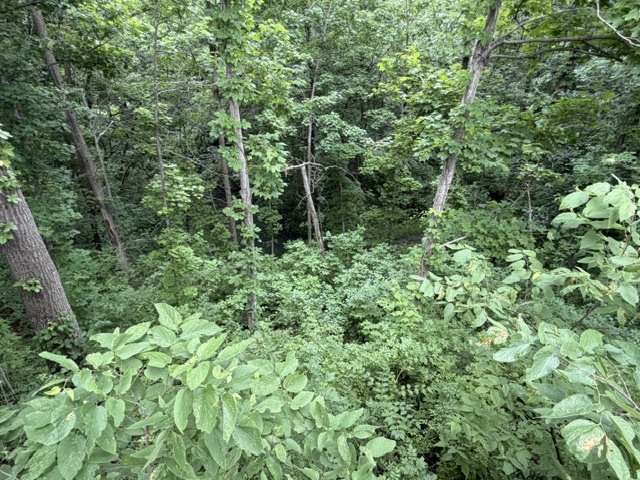 2795 E 28th Lot 1221 Road Property Photo 19