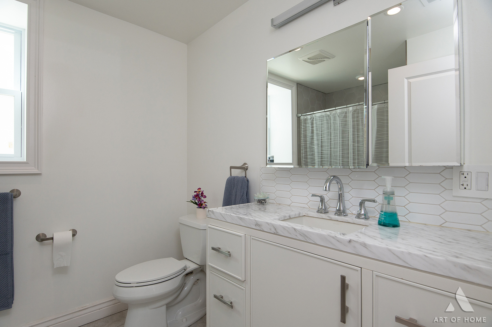 2821 N Springfield Avenue Property Photo 34