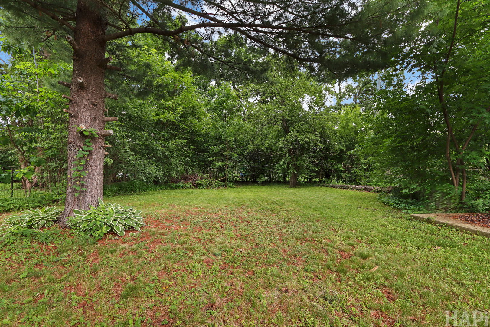 18156 W Timber Lane Property Photo 19