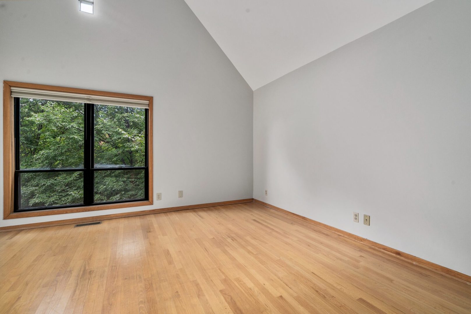 604 S Laflin Street Property Photo 9