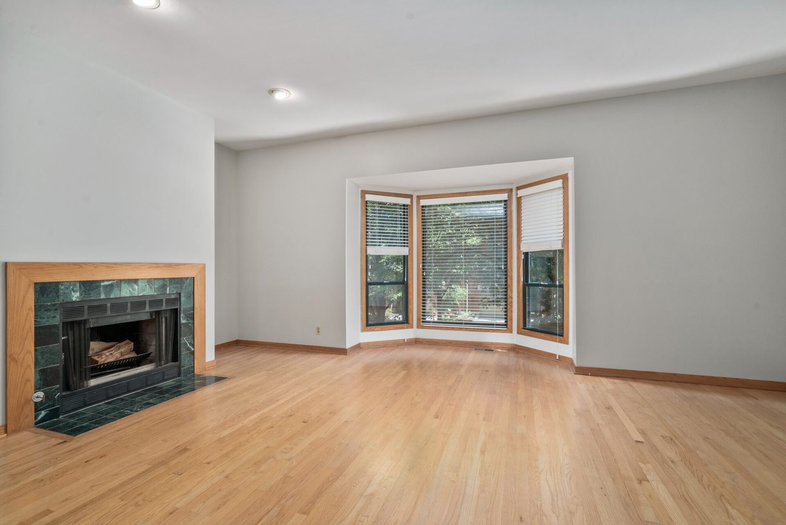 604 S Laflin Street Property Photo 13