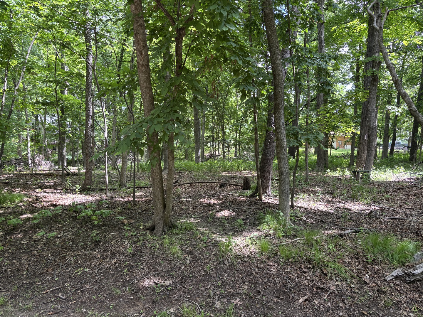 1101/1102 Jay Court Property Photo 1