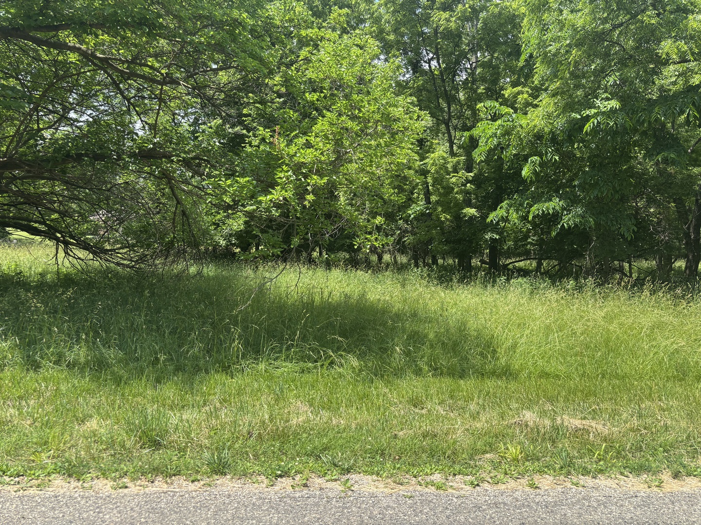 1483 Westover Drive Property Photo 1