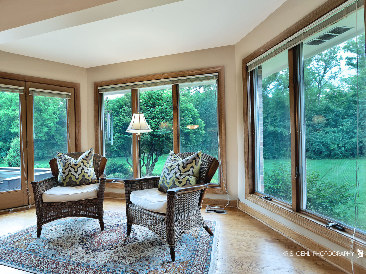 26639 N Longmeadow Circle Property Photo 10