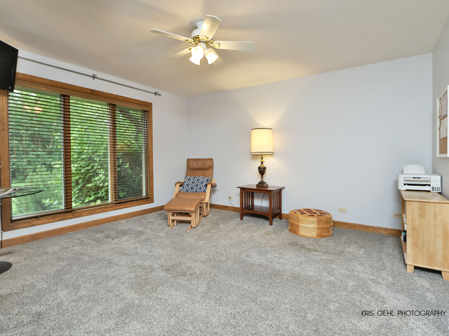 26639 N Longmeadow Circle Property Photo 15
