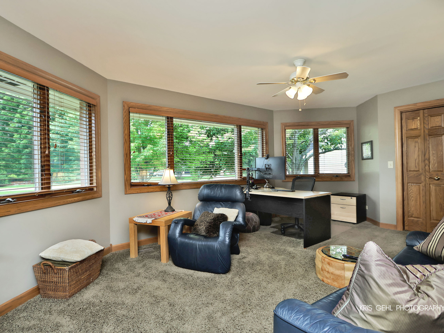 26639 N Longmeadow Circle Property Photo 20